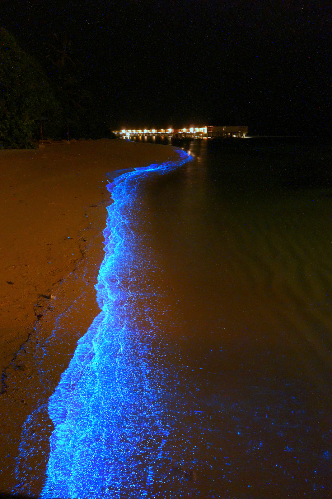maldives blue (2)