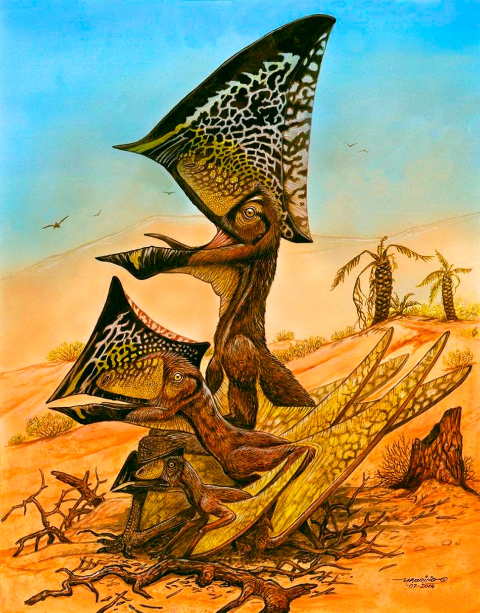 pterossauro2