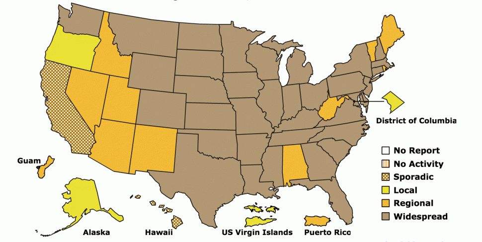 Mapa da gripe nos EUA