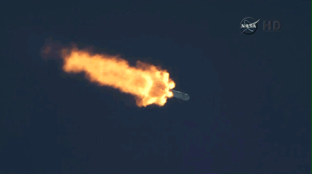 spacex gif