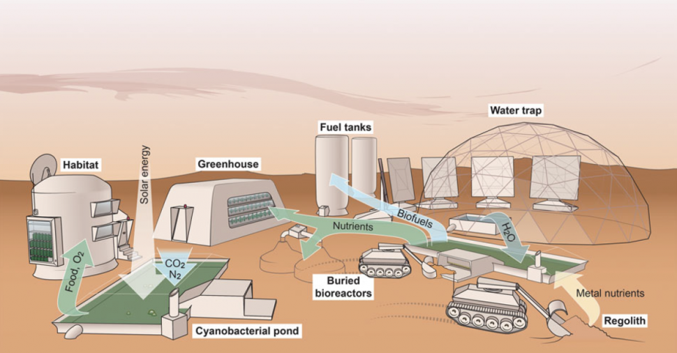 Renderização de um sistema de suporte à vida baseado na vida biológica da cyanobacteria em Marte. Crédito: Verseux et al. 2015