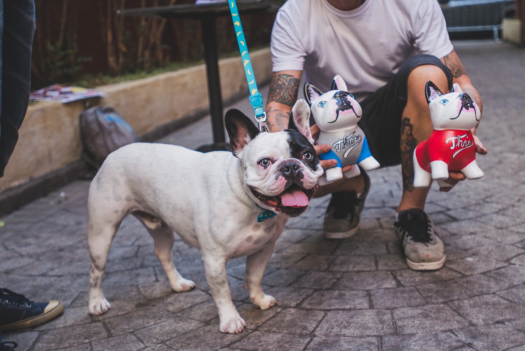 James Black - Roupas e Acessórios para PET - Bandana Pet marrom com Dogs  coloridos muito fofinhos e lado verde com bolinhas brancas