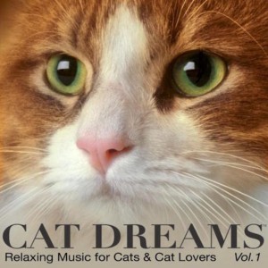 cat-dreams-album