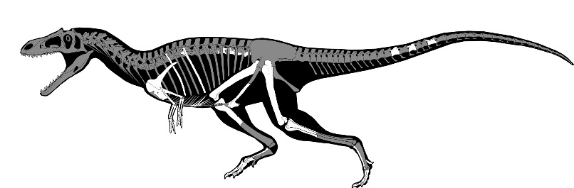 Conheça o recém-descoberto dinossauro que tem braços minúsculos como o T-Rex