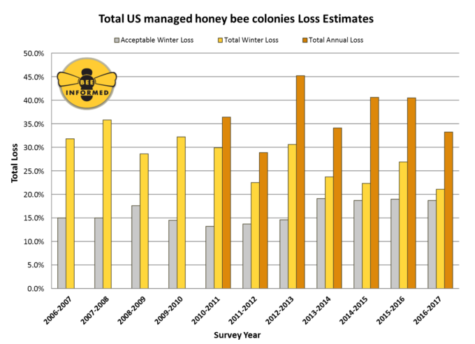 abelhas-grafico