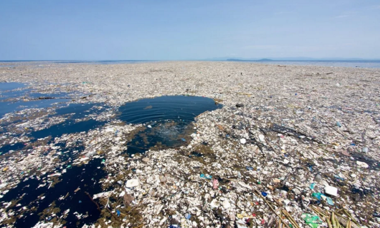 Ecossistema e país próprio como se formou a grande ilha de lixo no