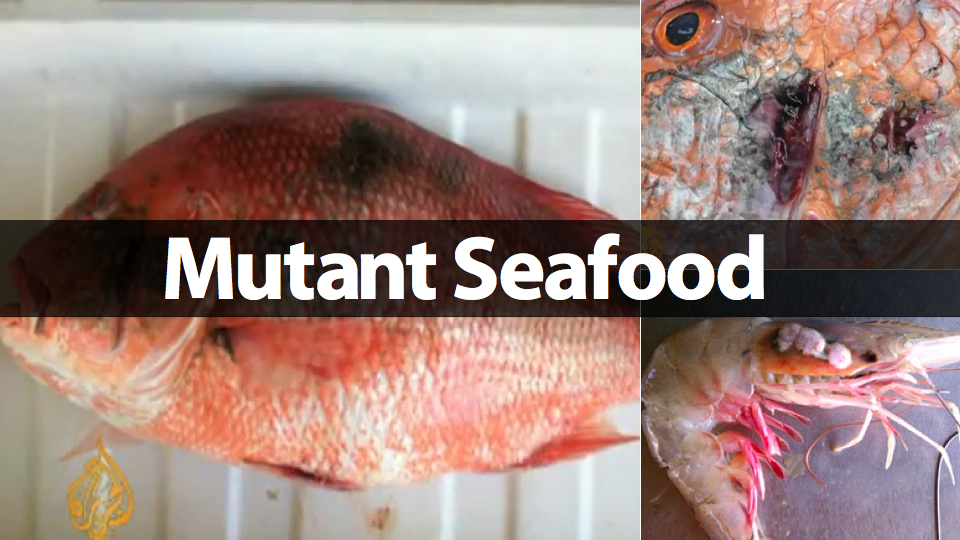 Frutos do mar mutantes.