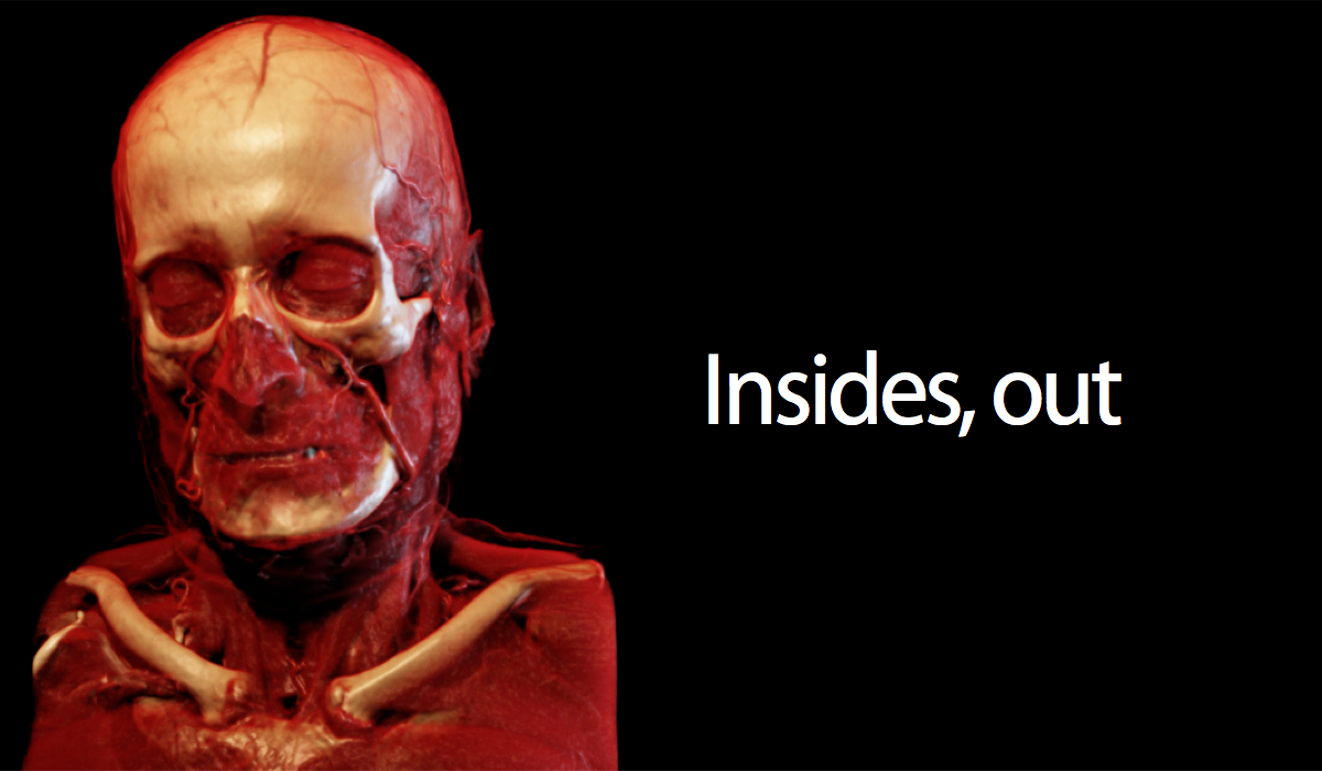 Insides, Out.