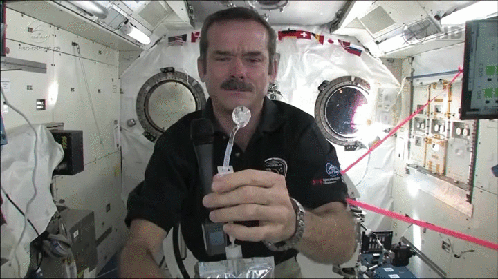 Como é que astronautas escovam os dentes, lavam os cabelos e comem no espaço?