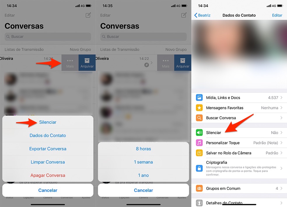 Instruções para silenciar conversa no WhatsApp no iOS