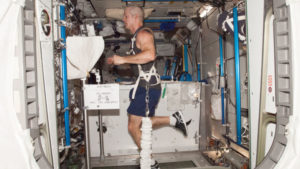 Steve Swanson, astronauta da NASA, equipado com um arnês de elástico, faz exercícios na esteira T2, a bordo da Estação Espacial Internacional (Imagem: NASA)