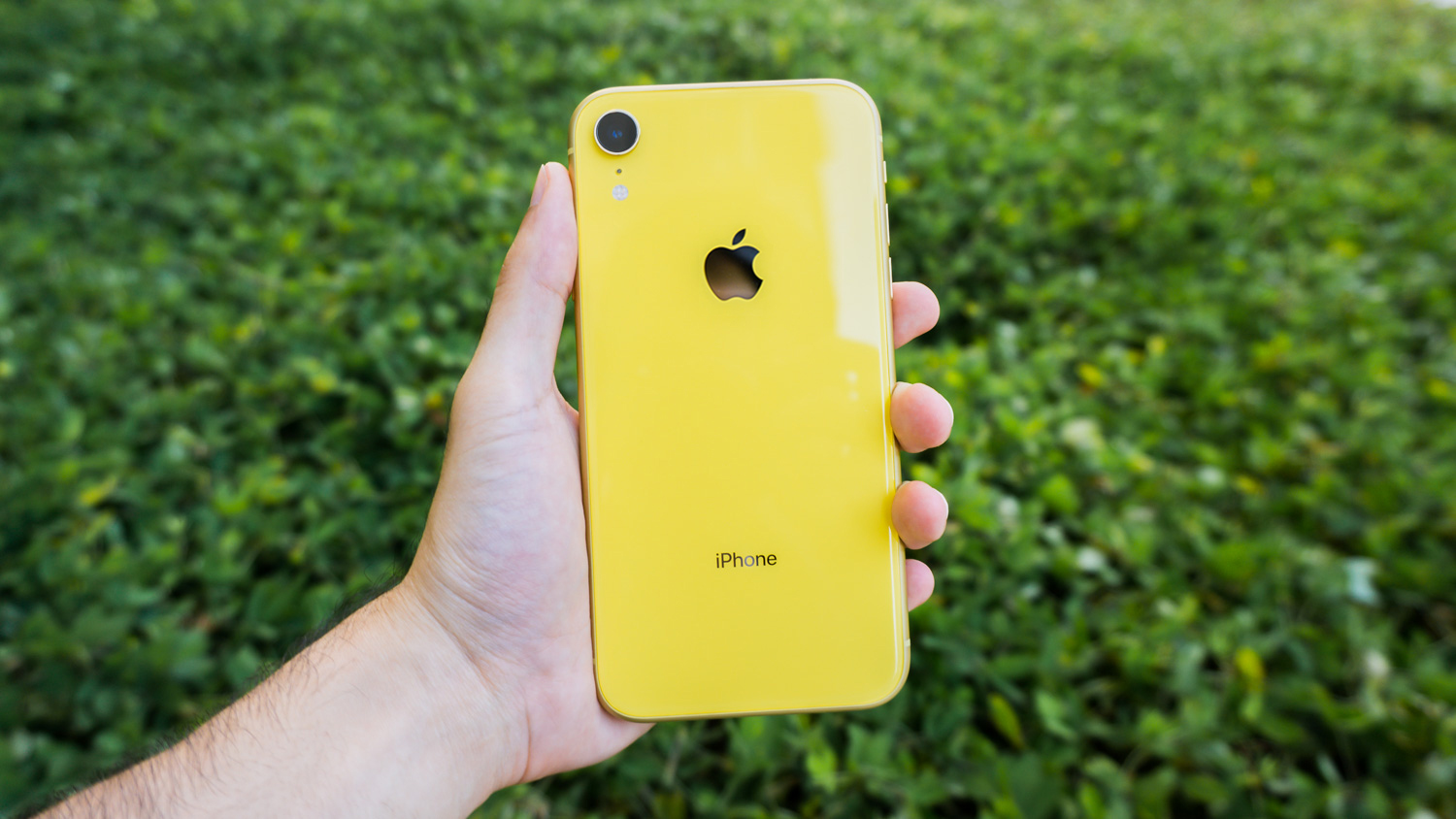 Apple iPhone XR amarelo na mão esquerda de uma pessoa. As costas do aparelho estão viradas para a câmera. Ao fundo, um gramado.