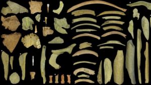 Ossos mostram evidências de canibalismo entre os Neandertais