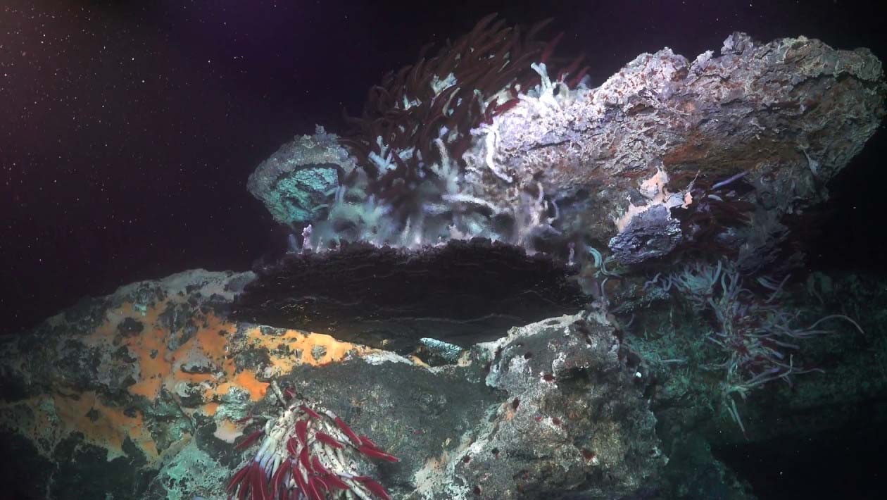 Imagem dos respiradouros vulcânicos nas profundidas do Oceano Pacífico