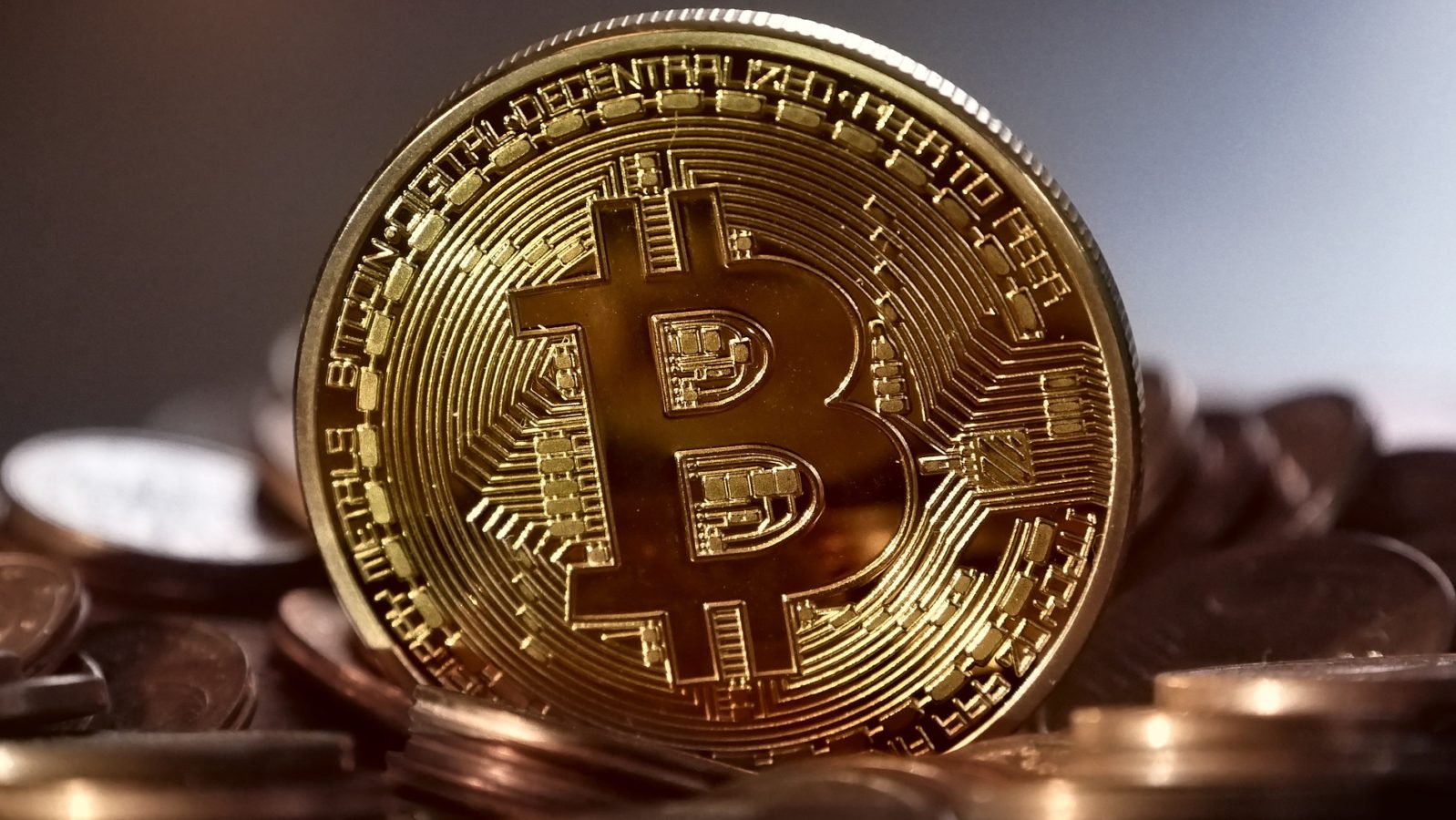 bitcoin gizmodo