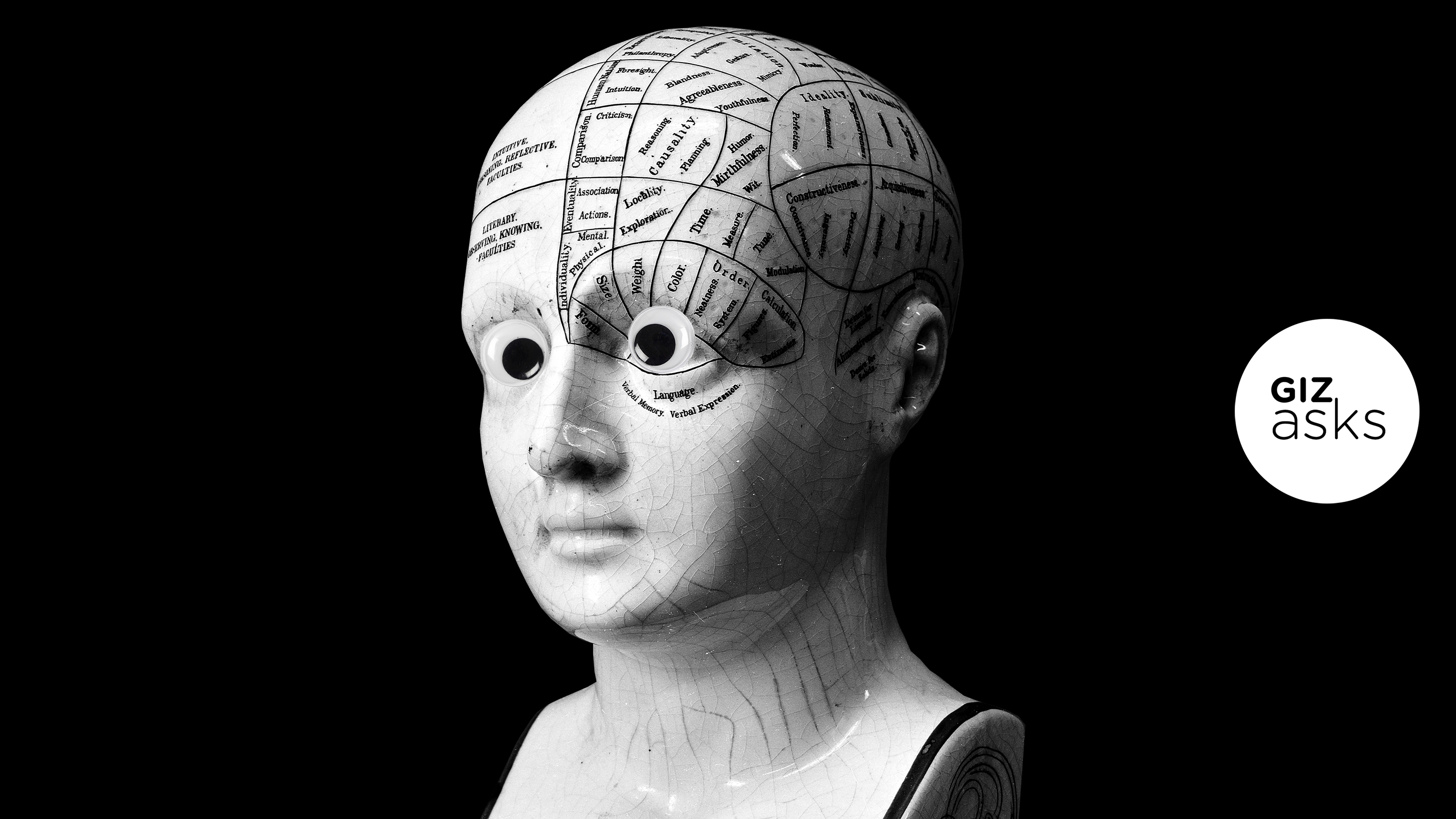 Ilustração do busto de um boneco cheio de divisões no cérebro