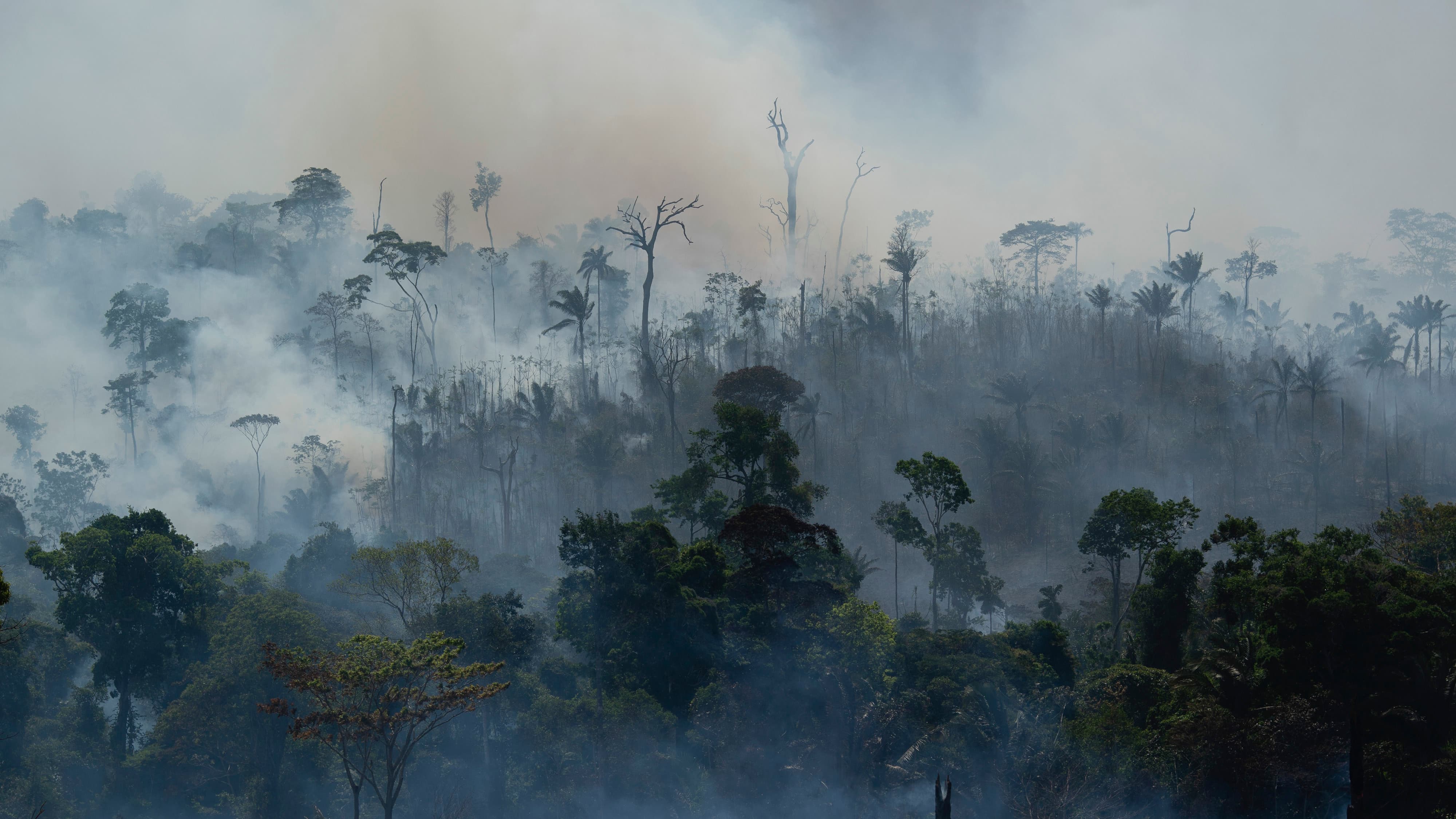 Floresta amazônica em chama