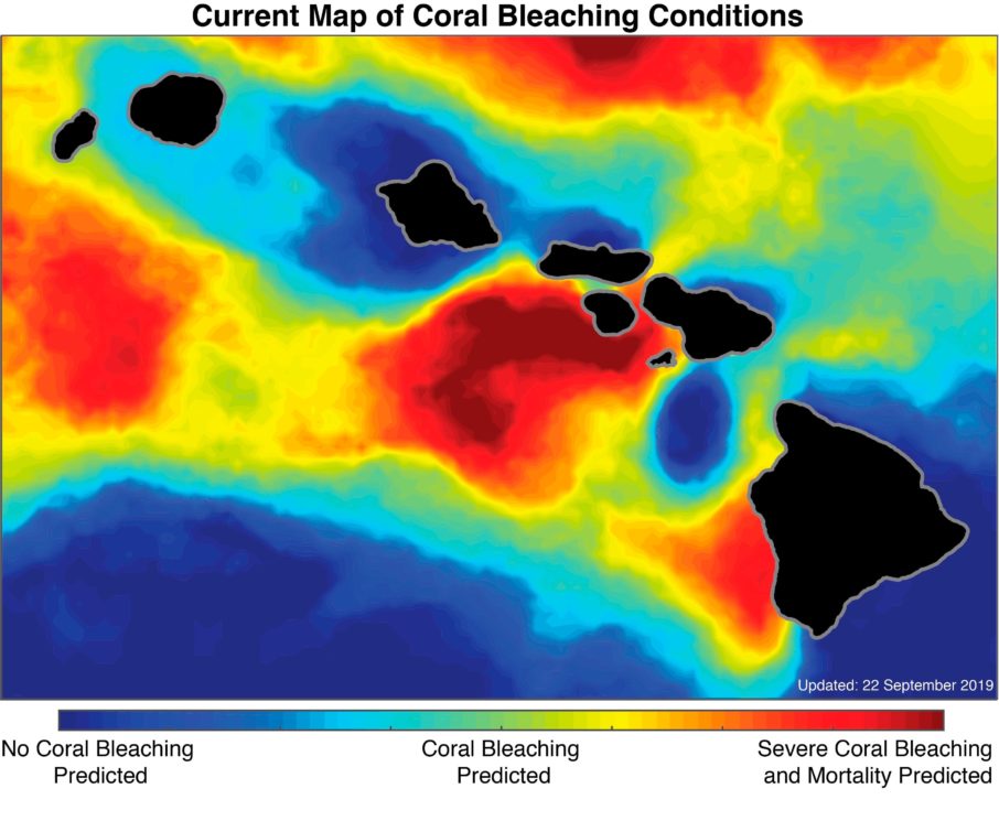 Mapa mostra áreas em que podem haver branqueamento de corais