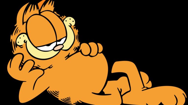 O gato garfield