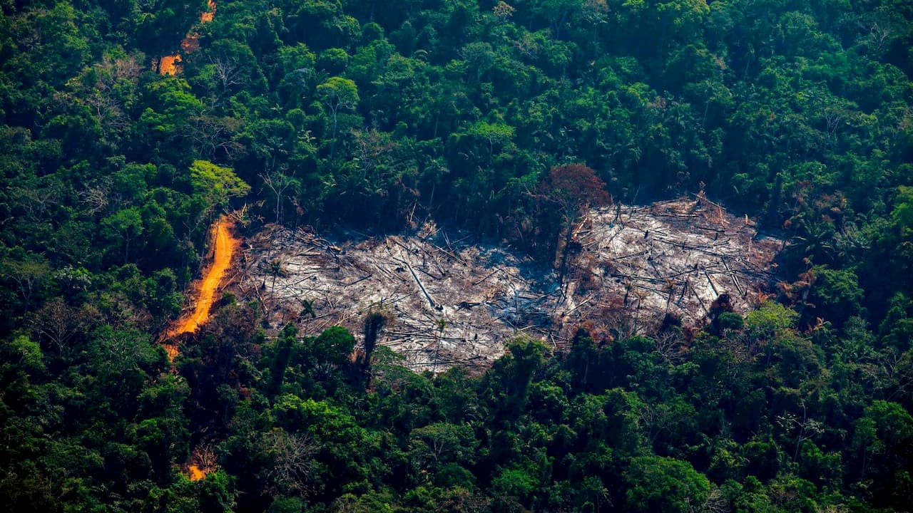 Desmatamento na Amazônia em agosto de 2019.