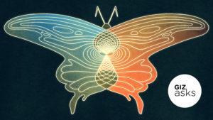 Ilustração de uma borboleta com uma asa de cada cor