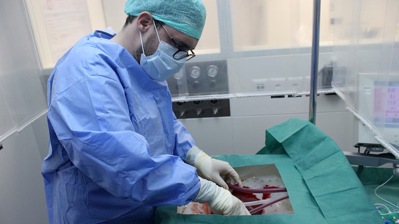 Cirurgião ligando um fígado à máquina de perfusão