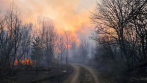 Incêndio perto da aldeia de Volodymyrivka, na zona de exclusão em torno da central nuclear de Chernobyl