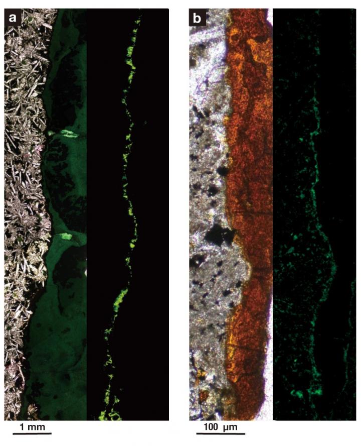 Imagens ampliadas de amostras de rocha, onde (b) é 1.000 vezes mais ampliada que (a). As manchas verdes à direita de cada uma mostram as bactérias, iluminada pela luz fluorescente. As áreas cinzas são de argila, enquanto as áreas laranjas são de rocha sólida de basalto (vulcânicas)