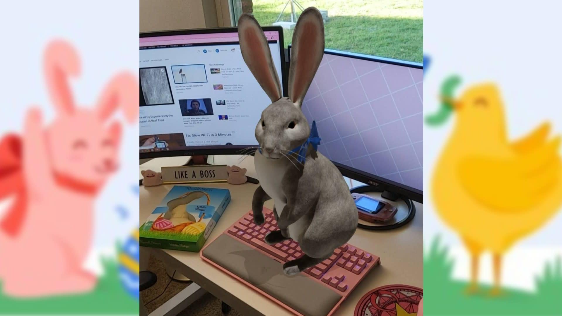 Animais em 3D da Google incluem agora o coelho da Páscoa - Go Outside