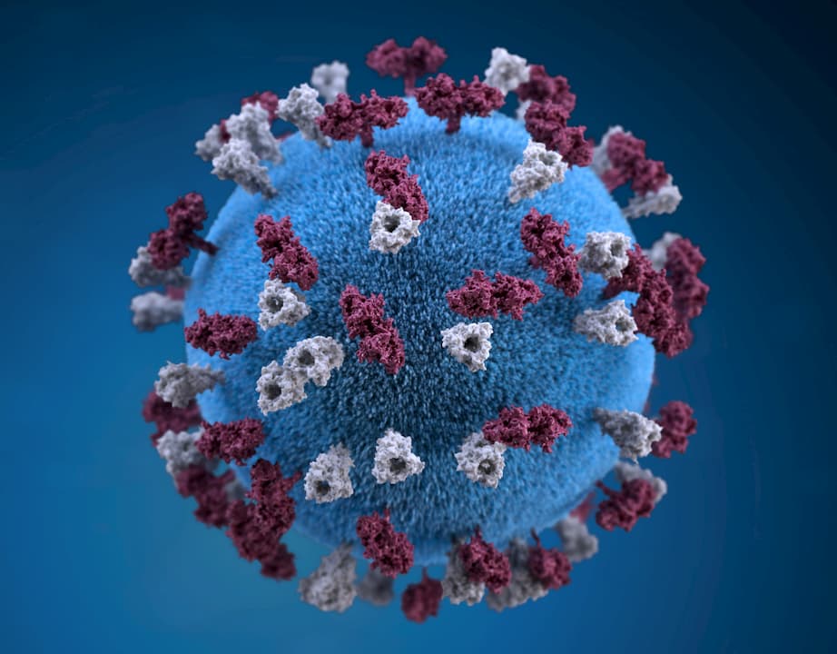 Representação do vírus do sarampo