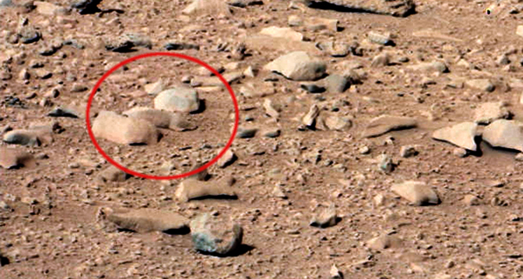 É um esquilo em Marte? Ou é ilusão de óptica? Crédito: NASA/JPL-Caltech/Gizmodo