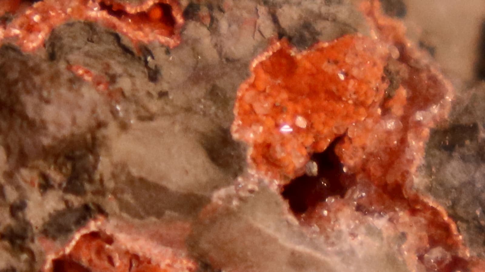 Minerais hidrotérmicos extraídos da cratera de Chicxulub