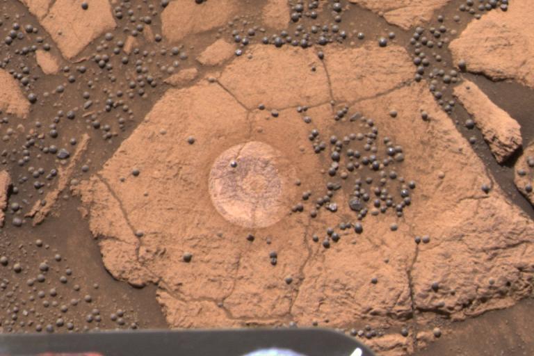 Mais mirtilos em Marte. Crédito: Mars Exploration Rover Mission, JPL, NASA