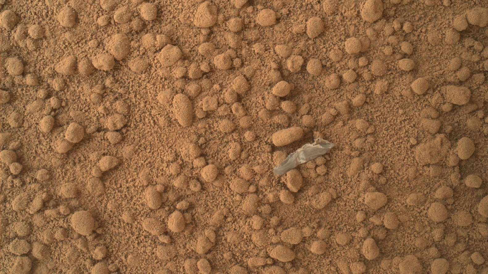 Pedaço de plástico em Marte. Crédito: NASA/JPL-Caltech