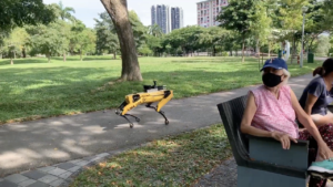 Robô Spot em parque de Singapura. Crédito: Strait Times