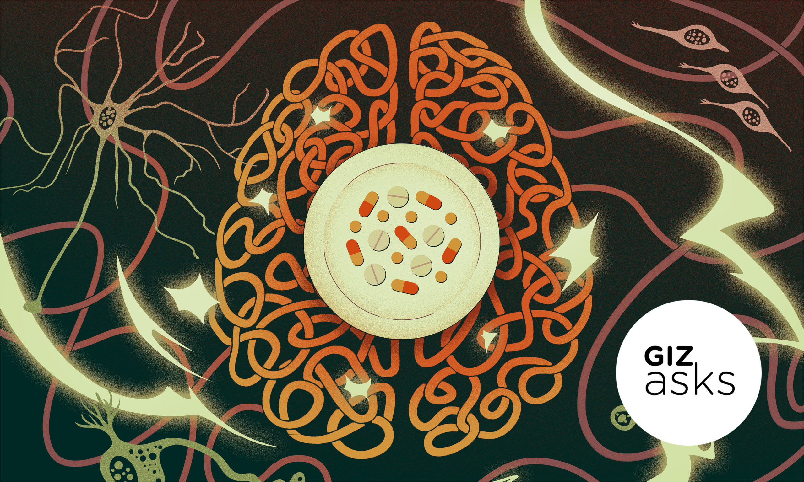 LIgações neurais de um cérebro. Ilustração por Angelica Alzona/Gizmodo