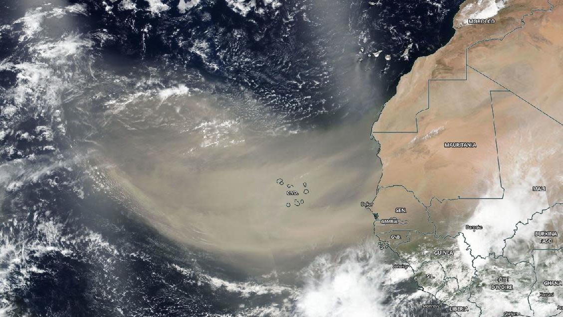Foto de satélite da NASA mostra poeira do Saara em imagem de 18 de junho. Crédito: NASA Worldview