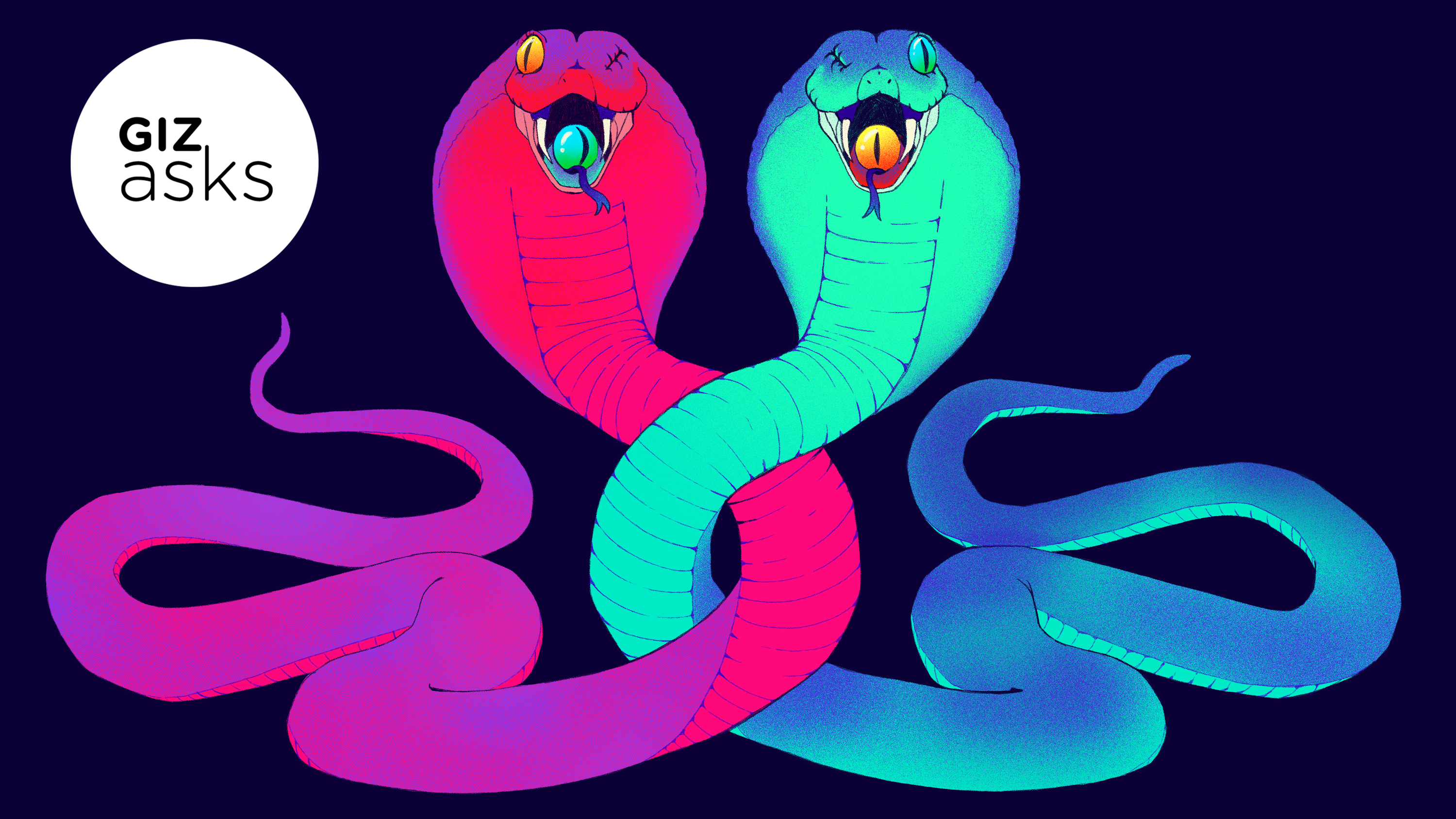 Duas cobras entrelaçadas. Ilustração por Chelsea Back/Gizmodo