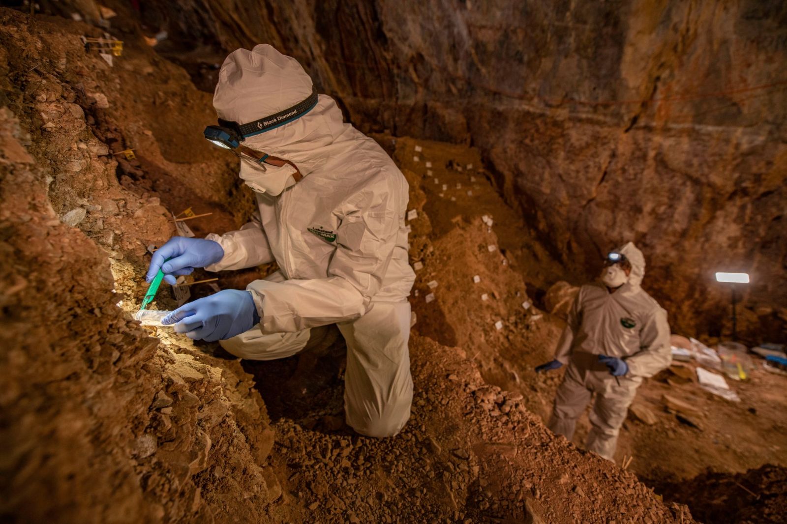 Arqueólogos coletam amostras de sedimentos da caverna em busca de DNA. Crédito: Devlin A. Gandy