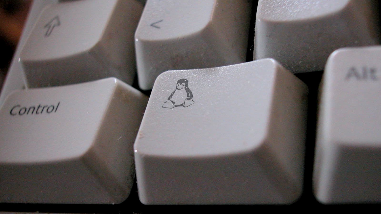 Tecla de teclado com o mascote do Linux, um penguim