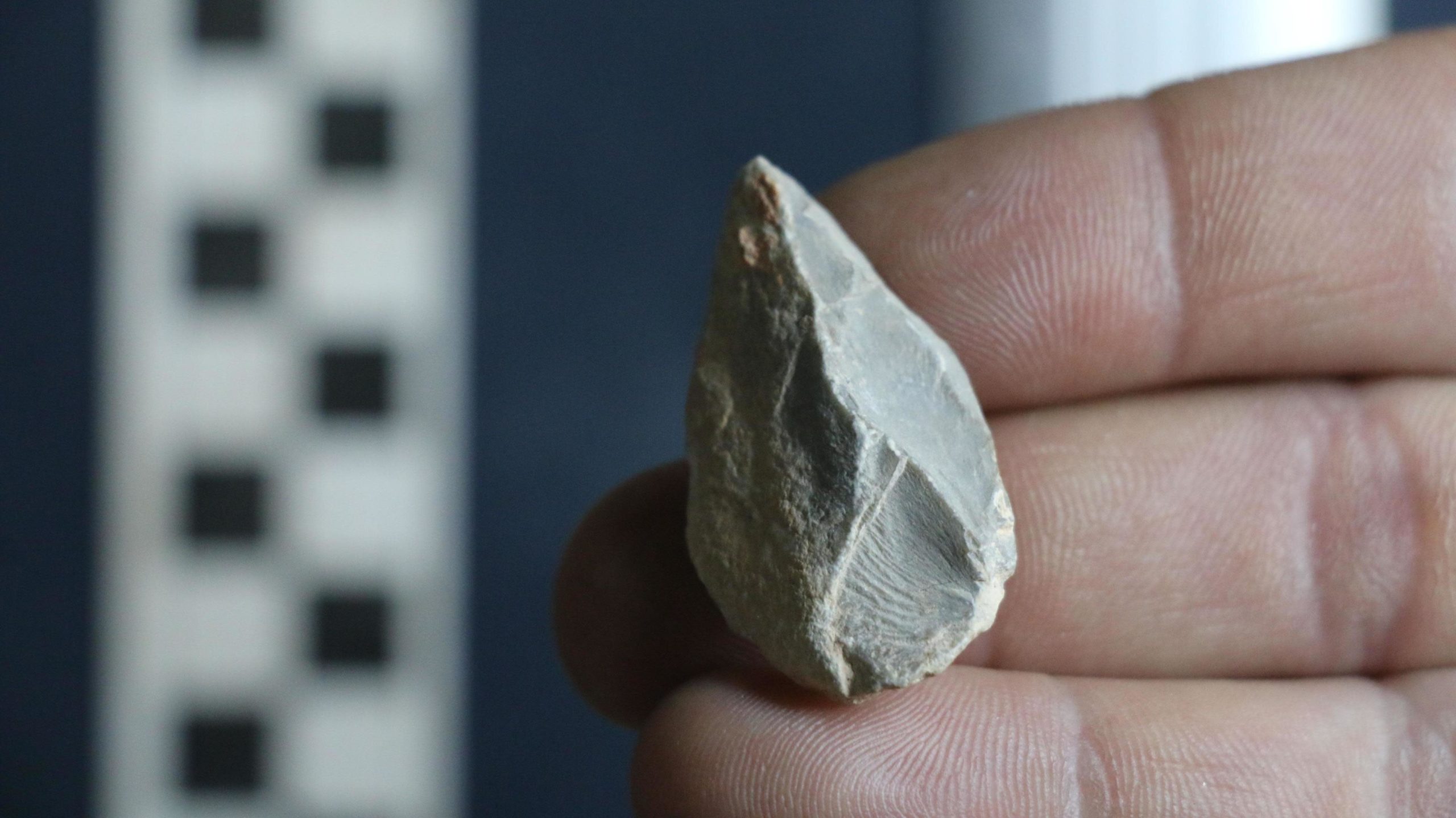 Pequena pedra encontrada na caverna Chiquihuite, no México. Crédito: Ciprian Ardelean