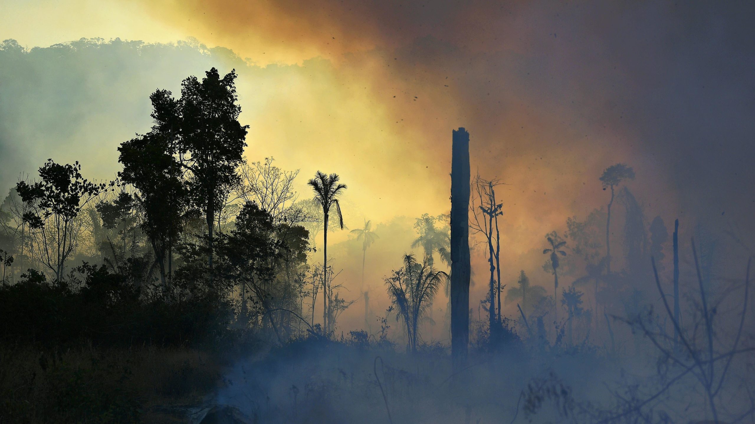 Novos recordes de incêndios na Amazônia. Crédito: Carl De Souza (Getty Images)