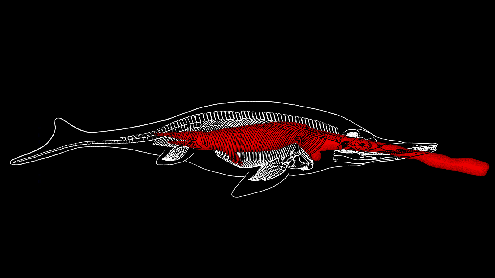 Fóssil de milhões de anos mostra lagarto enorme na barriga de um monstro maior ainda. Ilustração: Jim Cooke/Gizmodo