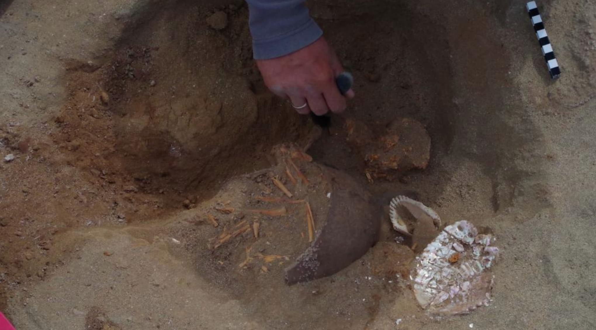 Alguns macacos foram enterrados ao lado de conchas do mar e cerâmicas quebradas. Crédito: Marta Osypińska/Institute of Archaeology and Ethnology of the Polish Academy of Sciences
