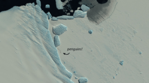 Pinguins imperadores captados pelo satélite Sentinel-2, da ESA, no cabo Pointsett, na Antártica. Crédito: ESA/Sentinel-2