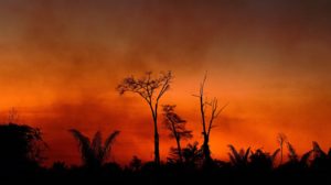 Fumaça em área queimada na terra do Parque do Xingú, no Estado do Mato Grosso, na bacia amazônica, em 6 de agosto de 2020. Crédito: Carl De Souza/Getty Images