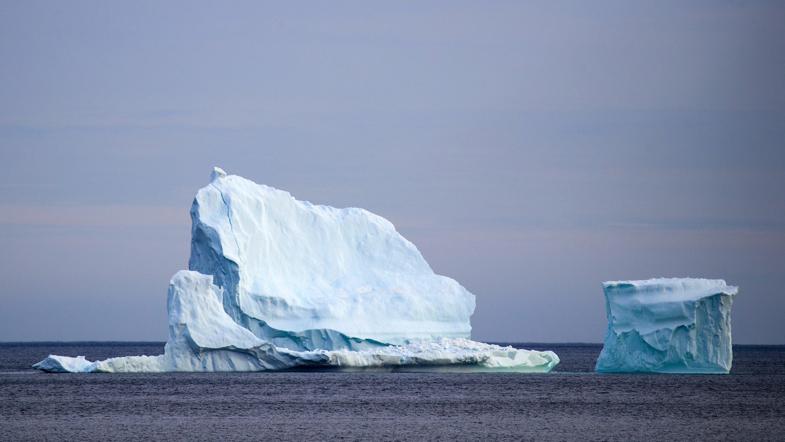 Plataforma de gelo flutuando próxima à ilha de Terra-Nova. Crédito: Drew Angerer (Getty Images)