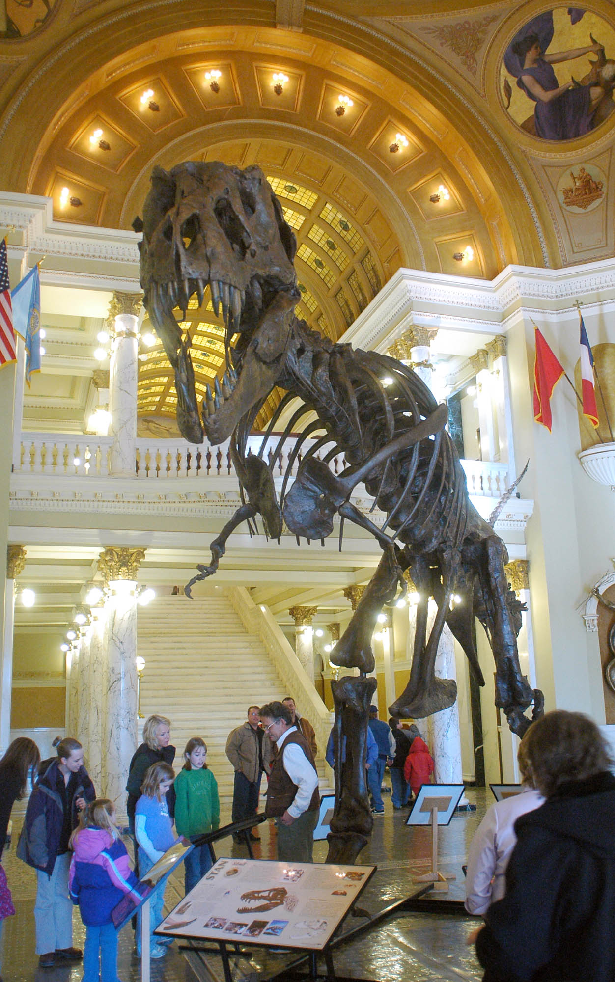 Crânio de T. Rex é leiloado por US$ 6,1 milhões - 11/12/2022