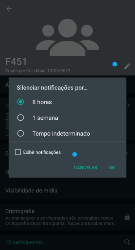 Função De Silenciar Grupo Para Sempre Começa A Aparecer No Whatsapp 8449