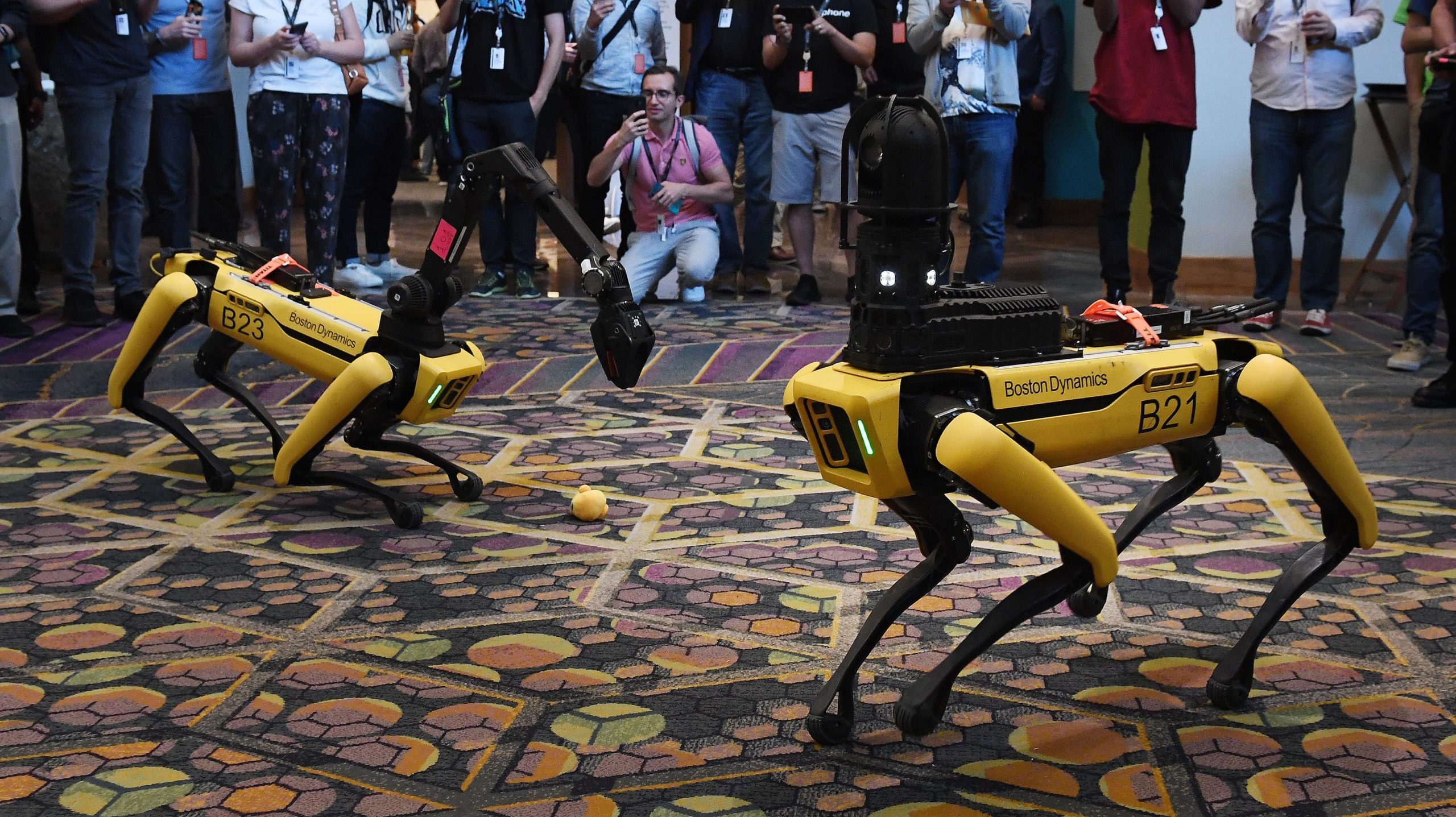 Cão-robô Spot da Boston Dynamics. Imagem: Mark Ralston / AFP (Getty Images)
